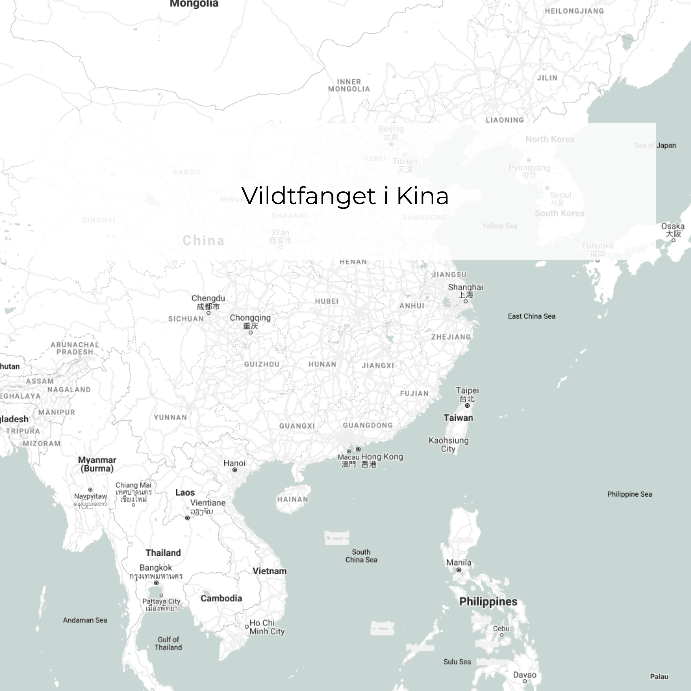 Your paragraph text (20)