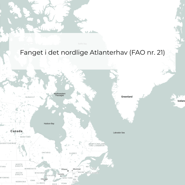 Fangstområde Håndpillede Grønlandsrejer